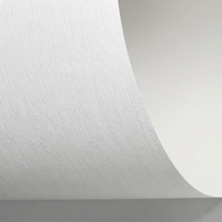 Rives 655 bright white 250g/m2 700x1000 BE