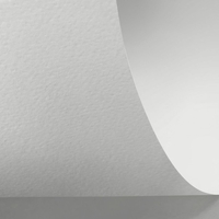 Rives 5 bright white 350g/m2 700x1000 BE