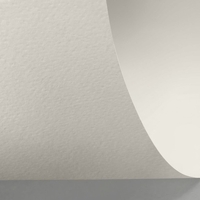 Rives 5 natural white 350g/m2 700x1000 BE