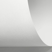 Rives Sensation Tactile bright white/weiss 350g/m2 700x1000 SB