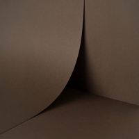 Keaykolour Seal 300g/m2 700x1000 SB
