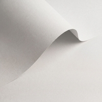 Olin Colours Brilliant White  320g/m2 700x1000 BE
