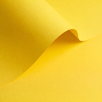 Olin Colours Citrus Yellow  240g/m2 700x1000 BE