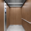 3M DI-NOC Wood FW-236EX 1220 mm x 50 m