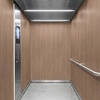 3M DI-NOC Wood WG-1144EX 1220 mm x 50 m