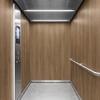 3M DI-NOC Wood WG-1837 1220 mm x 50 m