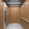3M DI-NOC Wood WG-2246 1220 mm x 50 m