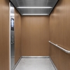 3M DI-NOC Wood WG-2839 1220 mm x 50 m