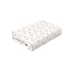 Xerox Colotech+ Silk blanc 250g/m2 450x320 003R91641 BL
