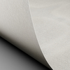 Conqueror Laid oyster 250g/m2 450x640 BE