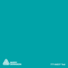 Avery 777-042CF Teal 1230mm