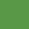 813 vert gazon