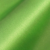 Matte Metallic Apple Green