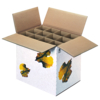 Emballage pour transport de vin, 12 bouteilles de 7 - 7.5 dl | Antalis CH