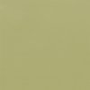 Coala Interior film SOLID COLOR RM19 - Light Olive Grain 1220 mm
