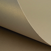 Curious Metallics Champagne 300g/m2 720x1020 BE