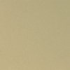 Curious Metallics Champagne 300g/m2 720x1020 BE