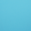 Carton Faucon bleu claire