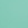 Carton Faucon vert claire