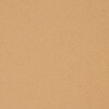 Carton Faucon  brunâtre  350g/m2 750x1050 BE
