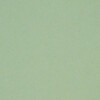 Carton Faucon  vert  450g/m2 750x1050 BE