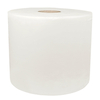 Putztuchrollen, weiss, 2-lagig, 248 x 350 mm, 1050 Blatt