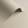 Olin Colours Grey  120g/m2 700x1000 SB