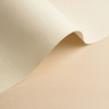 Olin Colours Ivory  90g/m2 700x1000 BE